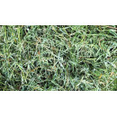 Foin premium produit en normandie, brins longs