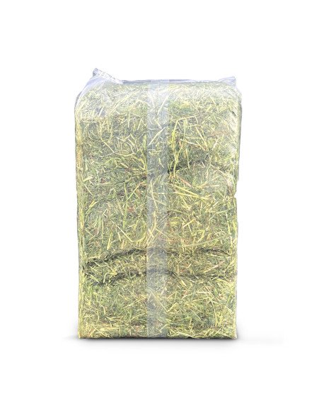 Foin 8 kgs Brins courts