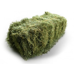 Foin Naturel Rabbits & Co pour lapins et Rongeurs - 20kg