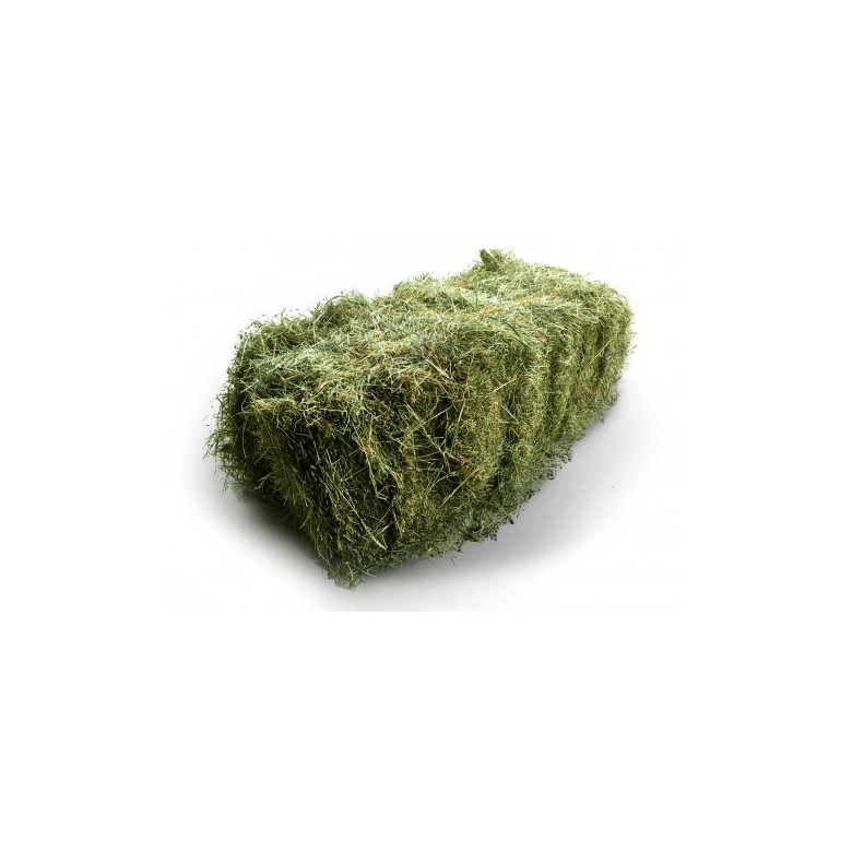 Foin Naturel Rabbits & Co pour lapins et Rongeurs - 20kg Foin Naturel Rabbits & Co pour lapins et Rongeurs - 20kg