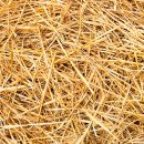 Paille de blé en ballot traditionnelle