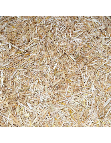 Paille de Blé défibrée et dépoussiérée pour chevaux