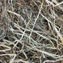 Foin enrubanné de pairie naturelle en petites bottes.