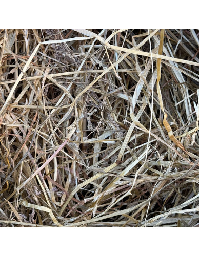 Foin Enrubanné Ray Grass sans poussières pour chevaux allergiques