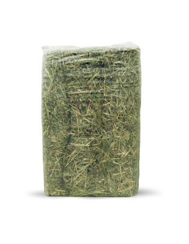 Foin Naturel Rabbits & Co pour Rongeurs - Qualité Supérieure
