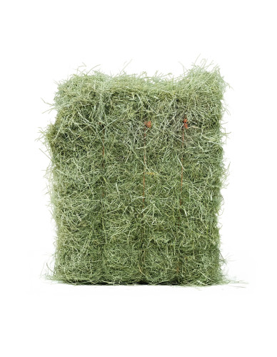 Foin de Prairie Naturelle Rabbits & Co pour Rongeurs