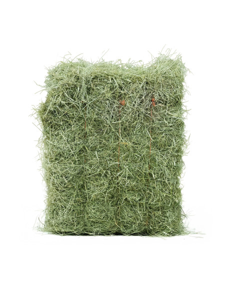 Foin de Prairie Naturelle Rabbits & Co pour Rongeurs