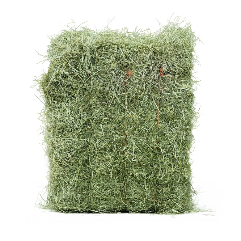 Foin de Prairie Naturelle Rabbits & Co pour Rongeurs Foin de Prairie Naturelle Rabbits & Co pour Rongeurs