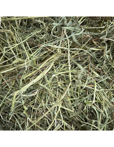 Foin Naturel pour lapins et rongeurs - Top qualité 8kg