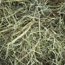 Foin Naturel pour lapins et rongeurs - Top qualité 8kg