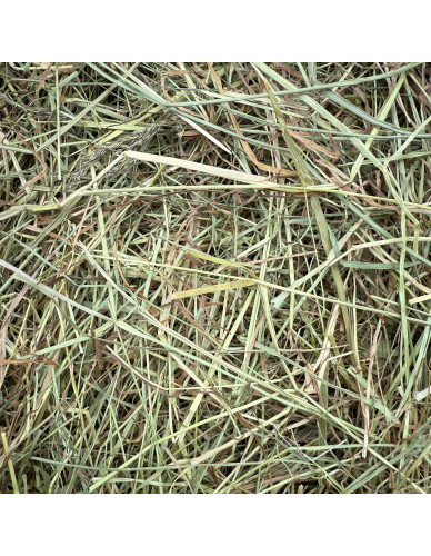 Foin de Prairie Naturelle Rabbits & Co pour Rongeurs
