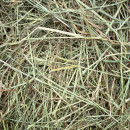 Foin de Prairie Naturelle Rabbits & Co pour Rongeurs
