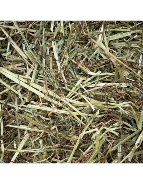 Foin Naturel Rabbits & Co pour Rongeurs - Qualité Supérieure