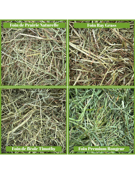 Box Découverte Foin Naturel pour lapins et autres rongeurs