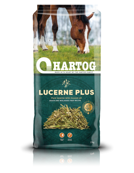 Hartog Lucerne Plus – Mélange de luzerne enrichi, riche en fibres