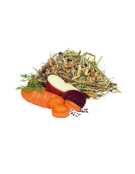 Hartog Digest – Aliment naturel pour la santé digestive du cheval sens