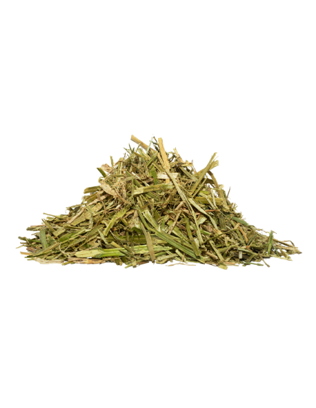 Hartog Lucerne Plus – Mélange de luzerne enrichi, riche en fibres