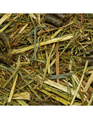 Hartog Senior – Fourrage complet pour chevaux âgés