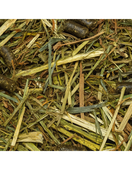 Hartog Senior – Fourrage complet pour chevaux âgés