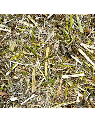 Hartog Digest – Aliment naturel pour la santé digestive du cheval sens