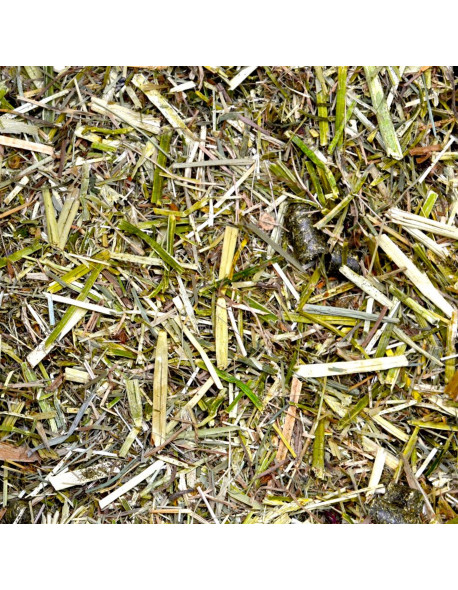 Hartog Digest – Aliment naturel pour la santé digestive du cheval sens