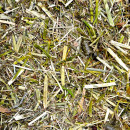 Hartog Digest – Aliment naturel pour la santé digestive du cheval sens