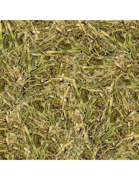 Hartog Lucerne Plus – Mélange de luzerne enrichi, riche en fibres