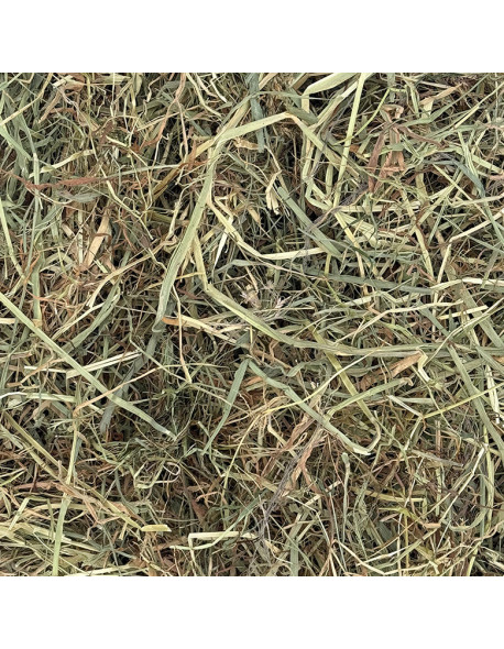 Foin de qualité de prairie naturelle dépoussiéré en ballot de 20 kg