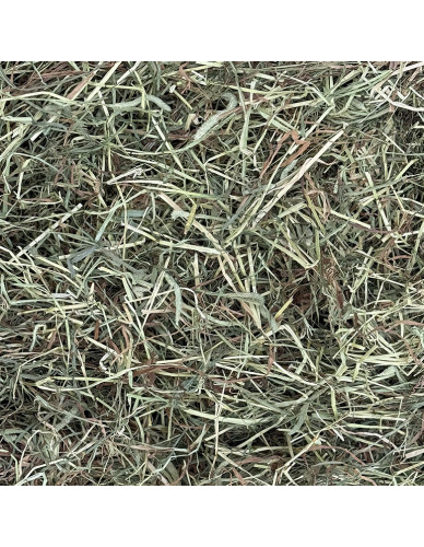 Foin de fléole des prés dépoussiéré en ballot de 20 kg