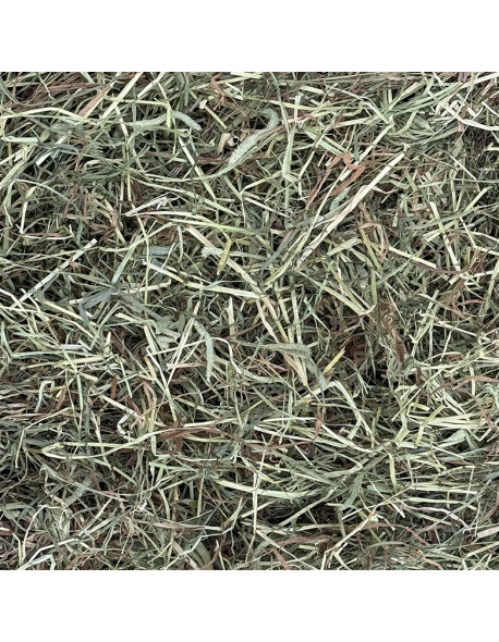 Foin de fléole des prés dépoussiéré en ballot de 20 kg
