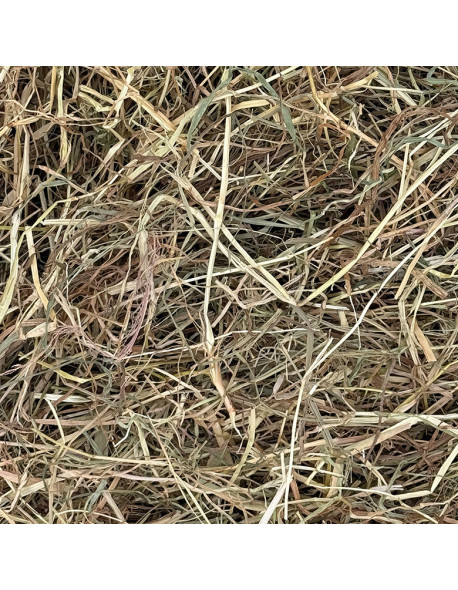 Foin de qualité de prairie naturelle dépoussiéré en ballot de 13 kg