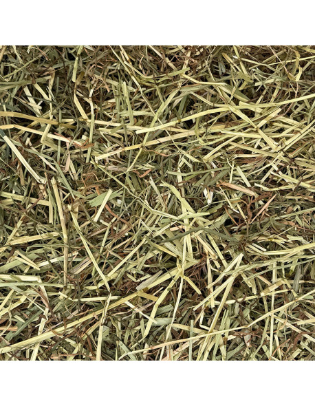Foin pour chevaux séché en grange et dépoussiéré