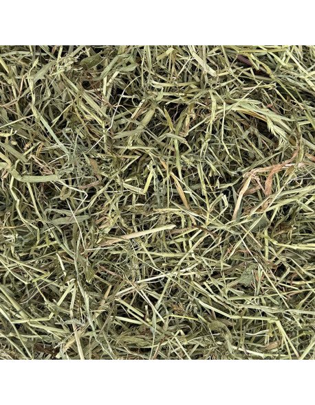 Foin 8 kgs Brins courts