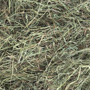 Foin de qualité séché en grange et dépoussiéré pour chevaux