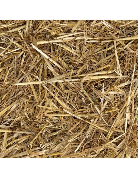Paille d'orge en ballot traditionnelle