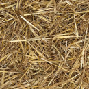 Paille d'orge en ballot traditionnelle