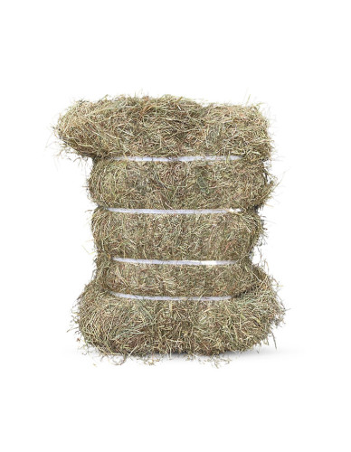 Foin de qualité de prairie naturelle dépoussiéré en ballot de 20 kg