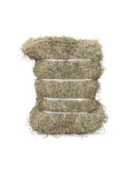 Foin de qualité de prairie naturelle dépoussiéré en ballot de 20 kg