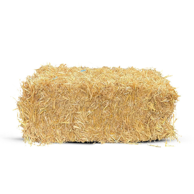Paille d'orge en ballot traditionnelle