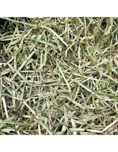 Foin naturel 1 kg de qualité pour lapin, hamster, cochon d'Inde, etc