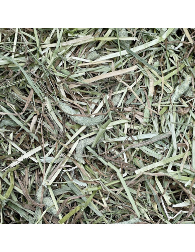 Foin naturel 1 kg de qualité pour lapin, hamster, cochon d'Inde, etc