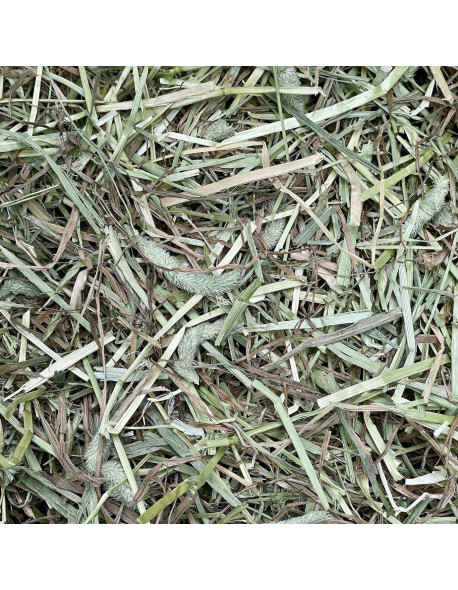 Foin naturel 1 kg de qualité pour lapin, hamster, cochon d'Inde, etc