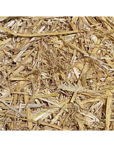 Paille de Blé dépoussiérée conditionnée en sac de 12 kg pour chevaux