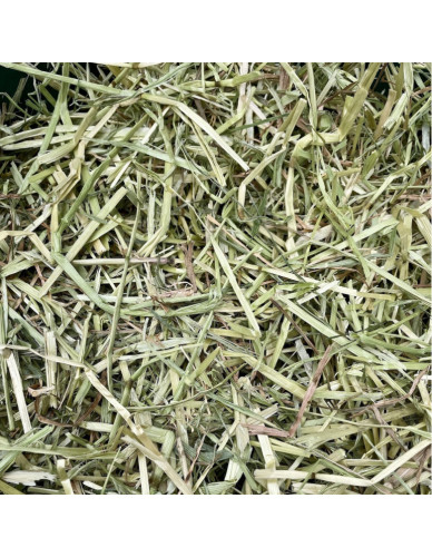 Foin naturel 2,7 kg de qualité pour lapin, hamster, cochon d'Inde, etc