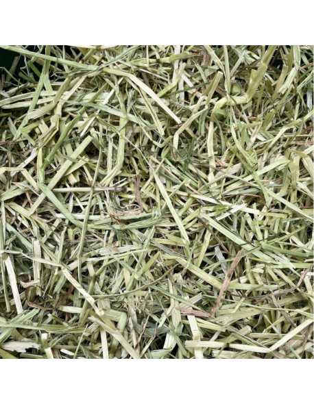 Foin naturel 2,7 kg de qualité pour lapin, hamster, cochon d'Inde, etc