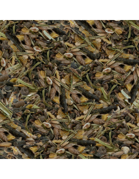 Hartog Energy - Muesli de haute qualité