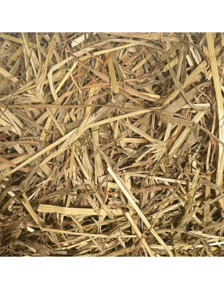 Foin Enrubanné Ray-Grass – Idéal pour Chevaux Sensibles et Allergiques