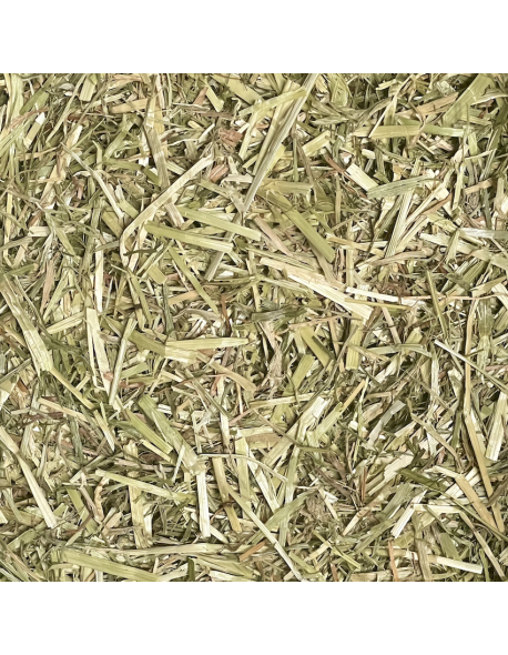 Hartog Compact Grass est un foin court de qualité en bottes de 18 kg.