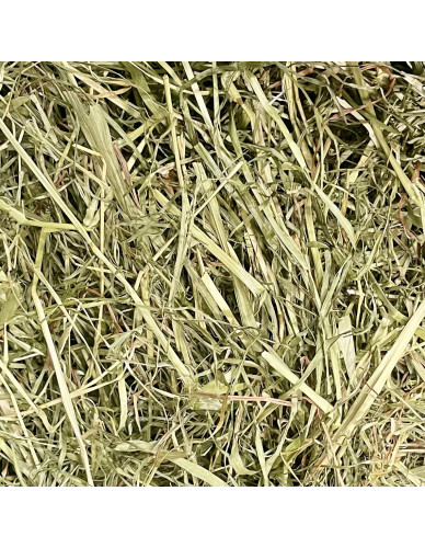 Foin Séché en Grange 5 Kg (EXTRA) produit en normandie, brins longs
