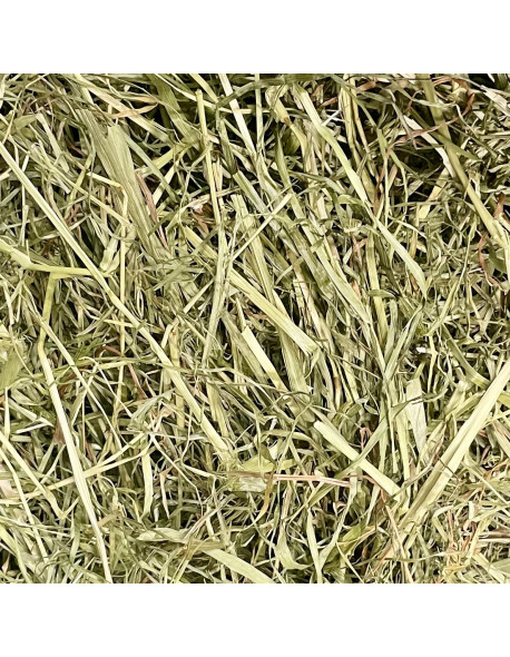 Foin Séché en Grange 5 Kg (EXTRA) produit en normandie, brins longs